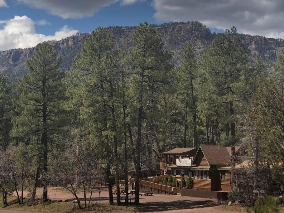 Forest Cabin 7 Seventh Heaven بايسون المظهر الخارجي الصورة