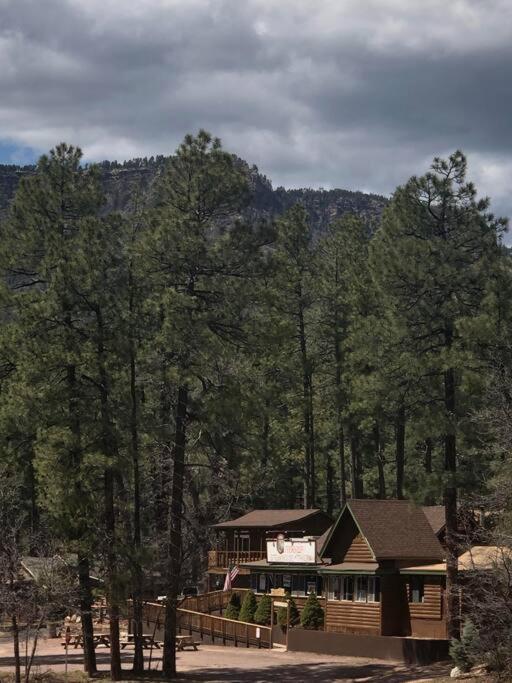 Forest Cabin 7 Seventh Heaven بايسون المظهر الخارجي الصورة