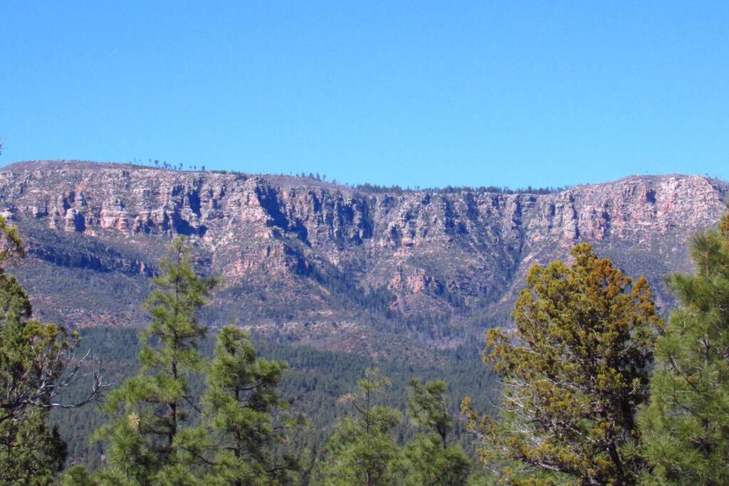 Forest Cabin 7 Seventh Heaven بايسون المظهر الخارجي الصورة